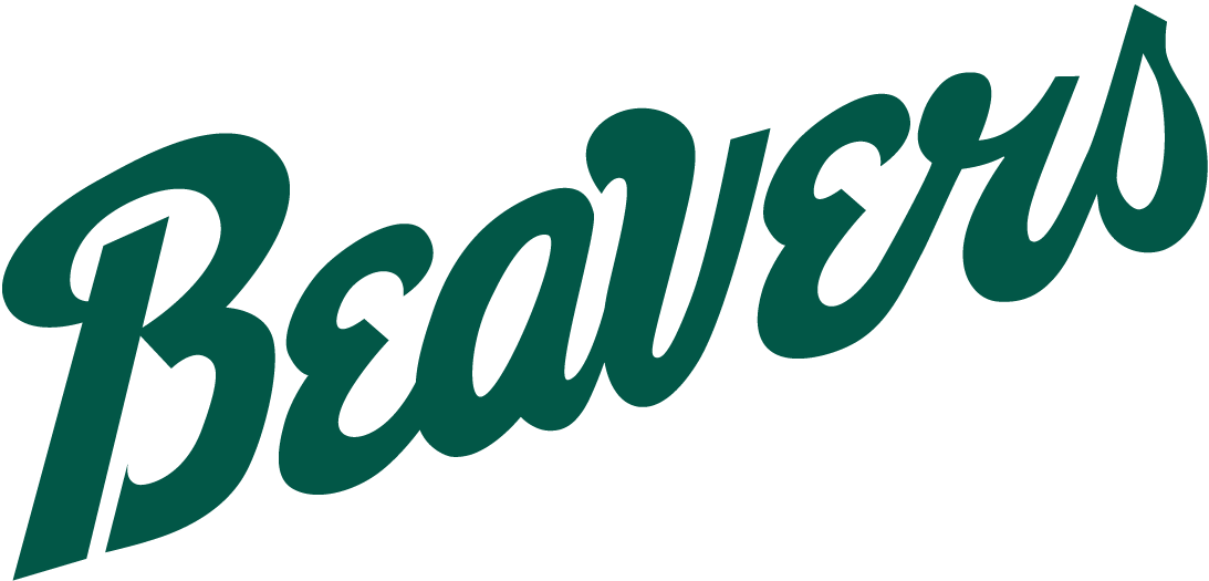 Bemidji State Beavers 2004-Pres Wordmark Logo DIY iron on transfer (heat transfer)